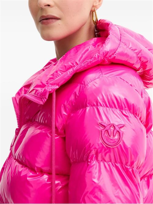 Piumino donna in crystal nylon PINKO | 101597A2P7N17