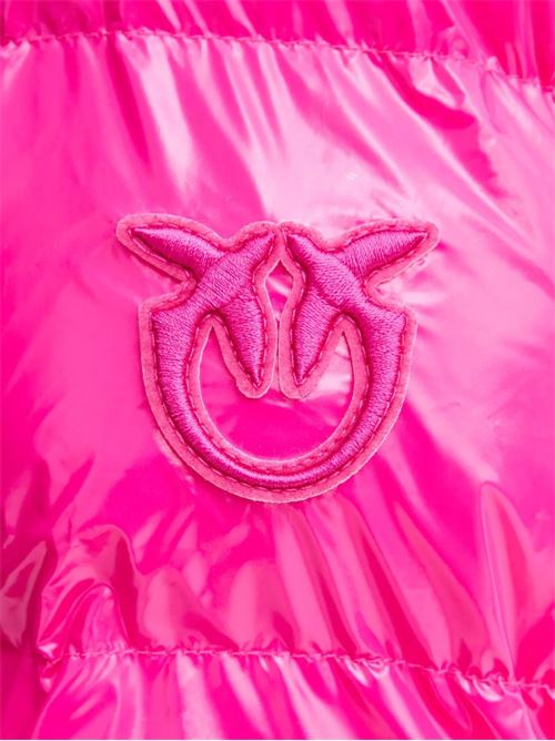 Piumino donna in crystal nylon PINKO | 101597A2P7N17