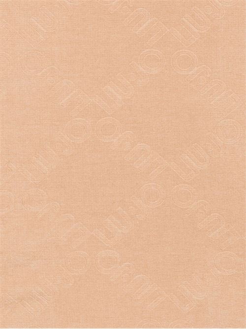 Poncho Liu Jo da donna color cammello con logo in rilievo e bordi sfrangiati LIU-JO | 2F6042T275100070