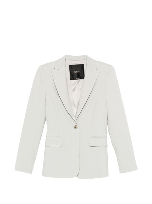  PINKO | 104903A36RI18